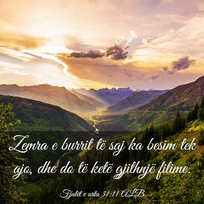 Picture 03 - Fjalët e urta 31:11 ALB - Zemra e burrit të saj ka besim tek ajo, dhe do - Bible Verse Picture