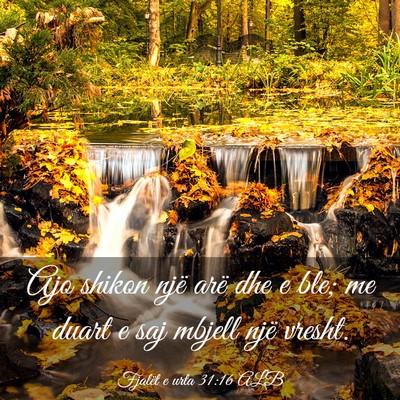 Picture 03 - Fjalët e urta 31:16 ALB - Ajo shikon një arë dhe e ble; me duart e saj - Bible Verse Picture