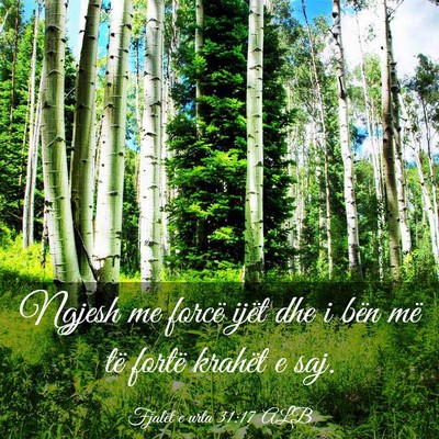 Picture 03 - Fjalët e urta 31:17 ALB - Ngjesh me forcë ijët dhe i bën më të fortë - Bible Verse Picture