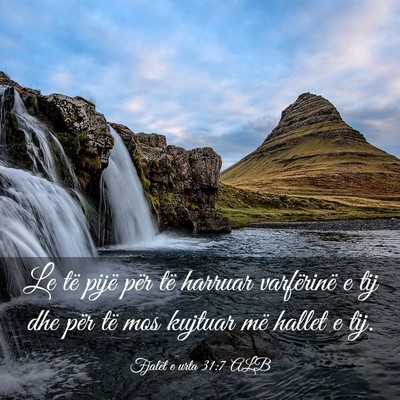 Picture 03 - Fjalët e urta 31:7 ALB - Le të pijë për të harruar varfërinë e tij - Bible Verse Picture