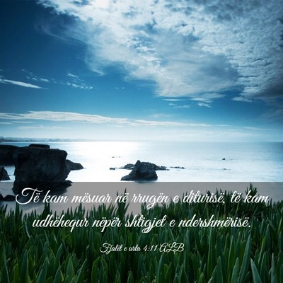Picture 03 - Fjalët e urta 4:11 ALB - Të kam mësuar në rrugën e diturisë, të kam - Bible Verse Picture