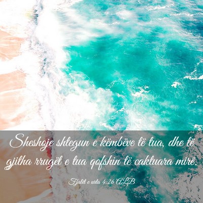 Picture 03 - Fjalët e urta 4:26 ALB - Sheshoje shtegun e këmbëve të tua, dhe të - Bible Verse Picture