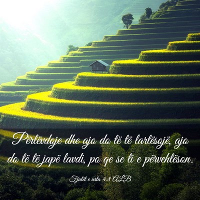 Picture 03 - Fjalët e urta 4:8 ALB - Përlëvdoje dhe ajo do të të lartësojë, ajo - Bible Verse Picture