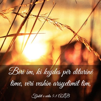 Picture 03 - Fjalët e urta 5:1 ALB - Biri im, ki kujdes për diturinë time, vëri - Bible Verse Picture