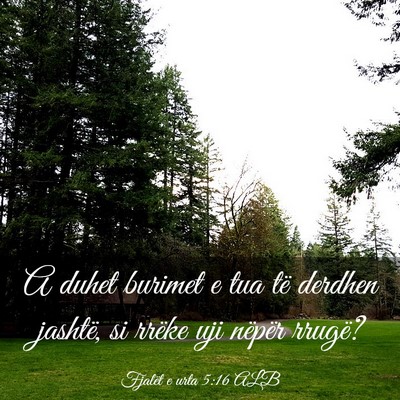 Picture 03 - Fjalët e urta 5:16 ALB - A duhet burimet e tua të derdhen jashtë, si - Bible Verse Picture