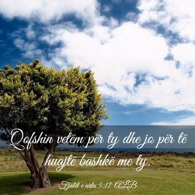 Picture 03 - Fjalët e urta 5:17 ALB - Qofshin vetëm për ty dhe jo për të huajtë - Bible Verse Picture