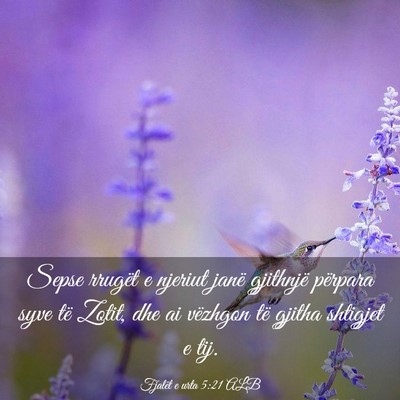 Picture 03 - Fjalët e urta 5:21 ALB - Sepse rrugët e njeriut janë gjithnjë përpara - Bible Verse Picture