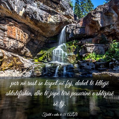 Picture 03 - Fjalët e urta 6:31 ALB - por në rast se kapet në faj, duhet të kthejë - Bible Verse Picture