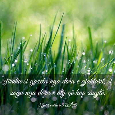 Picture 03 - Fjalët e urta 6:5 ALB - çlirohu si gazela nga dora e gjahtarit, si zogu - Bible Verse Picture