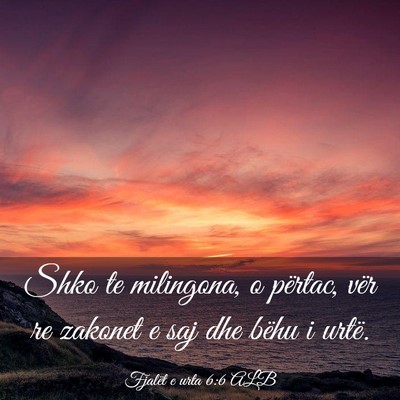 Picture 03 - Fjalët e urta 6:6 ALB - Shko te milingona, o përtac, vër re zakonet e - Bible Verse Picture
