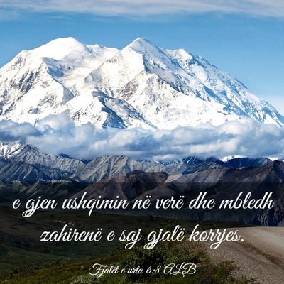 Picture 03 - Fjalët e urta 6:8 ALB - e gjen ushqimin në verë dhe mbledh zahirenë e - Bible Verse Picture