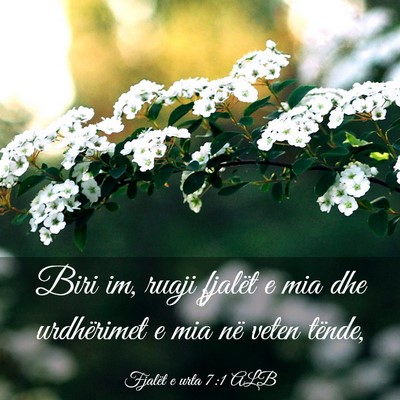 Picture 03 - Fjalët e urta 7:1 ALB - Biri im, ruaji fjalët e mia dhe urdhërimet e - Bible Verse Picture