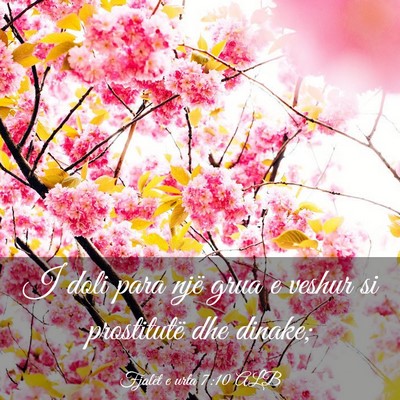 Picture 03 - Fjalët e urta 7:10 ALB - I doli para një grua e veshur si prostitutë dhe - Bible Verse Picture