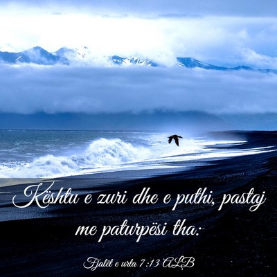 Picture 03 - Fjalët e urta 7:13 ALB - Kështu e zuri dhe e puthi, pastaj me paturpësi - Bible Verse Picture