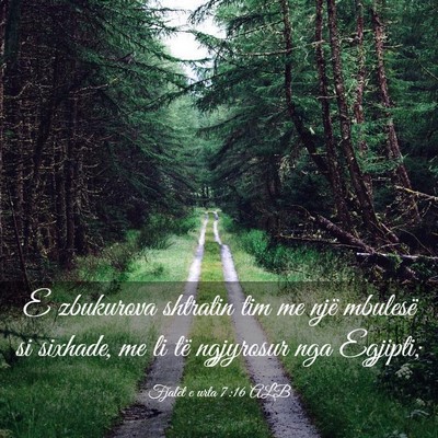 Picture 03 - Fjalët e urta 7:16 ALB - E zbukurova shtratin tim me një mbulesë si - Bible Verse Picture