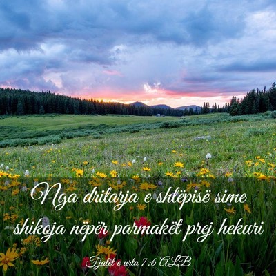 Picture 03 - Fjalët e urta 7:6 ALB - Nga dritarja e shtëpisë sime shikoja nëpër - Bible Verse Picture