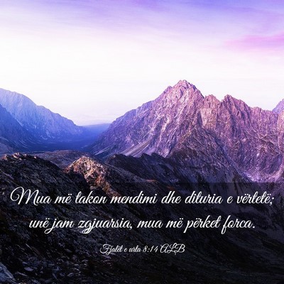 Picture 03 - Fjalët e urta 8:14 ALB - Mua më takon mendimi dhe dituria e vërtetë; - Bible Verse Picture