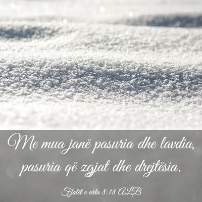 Picture 03 - Fjalët e urta 8:18 ALB - Me mua janë pasuria dhe lavdia, pasuria që - Bible Verse Picture