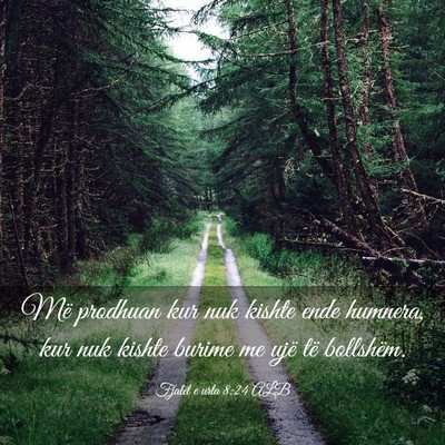 Picture 03 - Fjalët e urta 8:24 ALB - Më prodhuan kur nuk kishte ende humnera, kur nuk - Bible Verse Picture