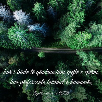 Picture 03 - Fjalët e urta 8:28 ALB - kur i bënte të qëndrueshëm qiejtë e epërm, - Bible Verse Picture