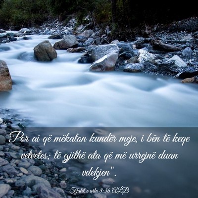 Picture 03 - Fjalët e urta 8:36 ALB - Por ai që mëkaton kundër meje, i bën të keqe - Bible Verse Picture