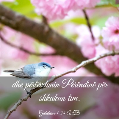 Picture 03 - Galatasve 1:24 ALB - dhe përlëvdonin Perëndinë për shkakun - Bible Verse Picture