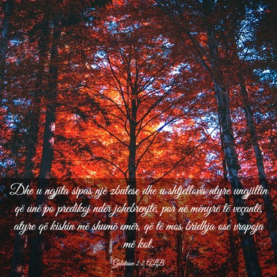 Picture 03 - Galatasve 2:2 ALB - Dhe u ngjita sipas një zbulese dhe u shtjellova - Bible Verse Picture
