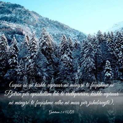 Picture 03 - Galatasve 2:8 ALB - (sepse ai që kishte vepruar në mënyrë të - Bible Verse Picture
