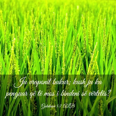 Picture 03 - Galatasve 5:7 ALB - Ju vraponit bukur; kush ju ka penguar që të mos - Bible Verse Picture