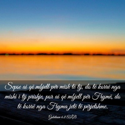 Picture 03 - Galatasve 6:8 ALB - Sepse ai që mbjell për mish të tij, do të - Bible Verse Picture