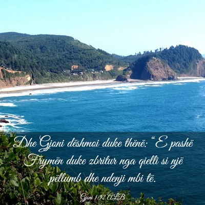Picture 03 - Gjoni 1:32 ALB - Dhe Gjoni dëshmoi duke thënë: “E pashë - Bible Verse Picture