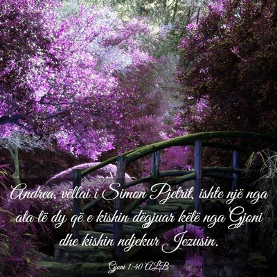 Picture 03 - Gjoni 1:40 ALB - Andrea, vëllai i Simon Pjetrit, ishte një nga - Bible Verse Picture