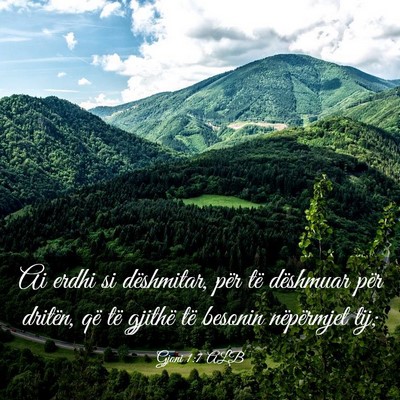 Picture 03 - Gjoni 1:7 ALB - Ai erdhi si dëshmitar, për të dëshmuar për - Bible Verse Picture