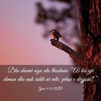 Picture 03 - Gjoni 10:20 ALB - Dhe shumë nga ata thoshnin: “Ai ka një demon - Bible Verse Picture
