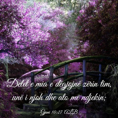 Picture 03 - Gjoni 10:27 ALB - Delet e mia e dëgjojnë zërin tim, unë i njoh - Bible Verse Picture