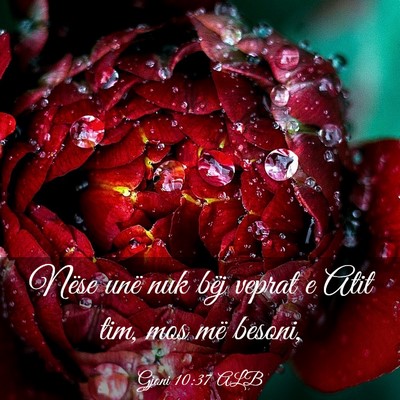 Picture 03 - Gjoni 10:37 ALB - Nëse unë nuk bëj veprat e Atit tim, mos më - Bible Verse Picture