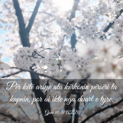 Picture 03 - Gjoni 10:39 ALB - Për këtë arsye ata kërkonin përsëri ta - Bible Verse Picture