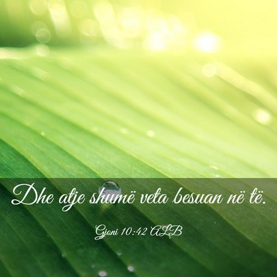 Picture 03 - Gjoni 10:42 ALB - Dhe atje shumë veta besuan në - Bible Verse Picture