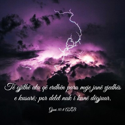Picture 03 - Gjoni 10:8 ALB - Të gjithë ata që erdhën para meje janë - Bible Verse Picture