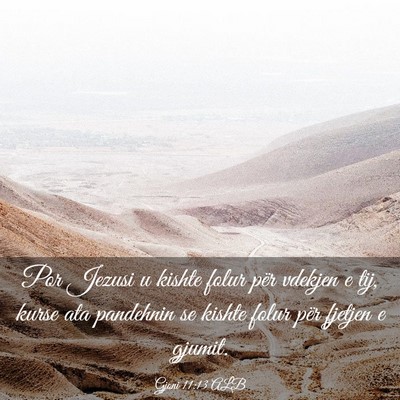 Picture 03 - Gjoni 11:13 ALB - Por Jezusi u kishte folur për vdekjen e tij, - Bible Verse Picture