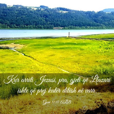Picture 03 - Gjoni 11:17 ALB - Kur arriti Jezusi, pra, gjeti që Llazari ishte - Bible Verse Picture