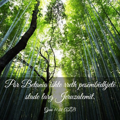 Picture 03 - Gjoni 11:18 ALB - Por Betania ishte rreth pesëmbëdhjetë stade - Bible Verse Picture