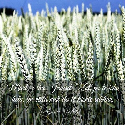 Picture 03 - Gjoni 11:21 ALB - Marta i tha Jezusit: “Zot, po të ishe këtu, - Bible Verse Picture
