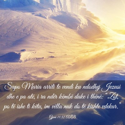 Picture 03 - Gjoni 11:32 ALB - Sapo Maria arriti te vendi ku ndodhej Jezusi dhe - Bible Verse Picture