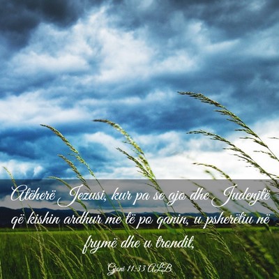 Picture 03 - Gjoni 11:33 ALB - Atëherë Jezusi, kur pa se ajo dhe Judenjtë që - Bible Verse Picture