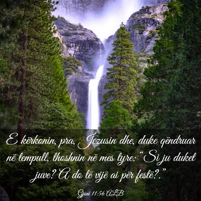 Picture 03 - Gjoni 11:56 ALB - E kërkonin, pra, Jezusin dhe, duke qëndruar në - Bible Verse Picture