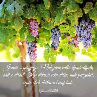 Picture 03 - Gjoni 11:9 ALB - Jezusi u përgjigj: “Nuk janë vallë - Bible Verse Picture