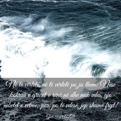 Picture 03 - Gjoni 12:24 ALB - Në të vërtetë, në të vërtetë po ju them: - Bible Verse Picture