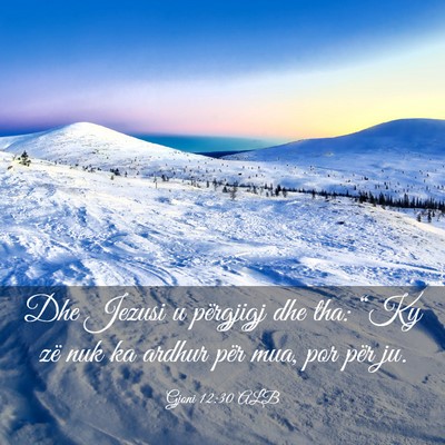Picture 03 - Gjoni 12:30 ALB - Dhe Jezusi u përgjigj dhe tha: “Ky zë nuk ka - Bible Verse Picture