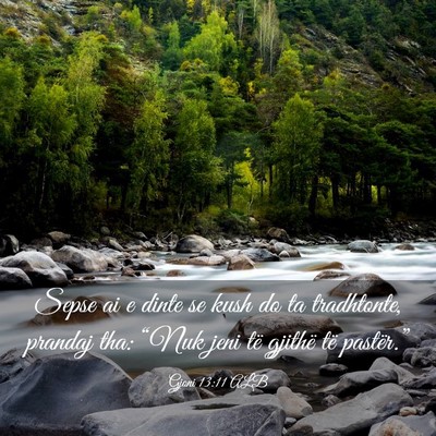 Picture 03 - Gjoni 13:11 ALB - Sepse ai e dinte se kush do ta tradhtonte, - Bible Verse Picture